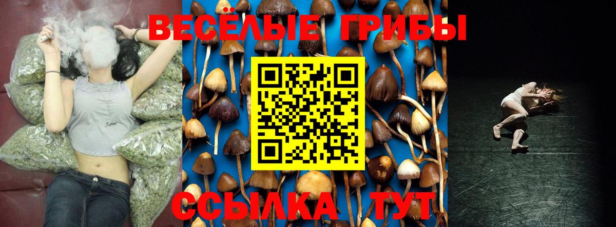 Псилоцибиновые грибы MAGIC MUSHROOMS  Вход с VPN  Галлюциногенные грибы Cubensis  Шебекино 